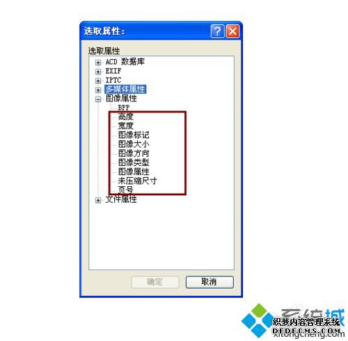 win10ϵͳacdseeͼõķ