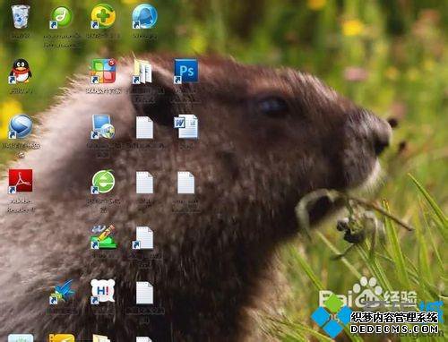 win7Ƶô|win7һƵֽķ