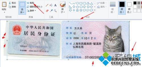 win10ϵͳϲ֤ͼƬĲ7.4