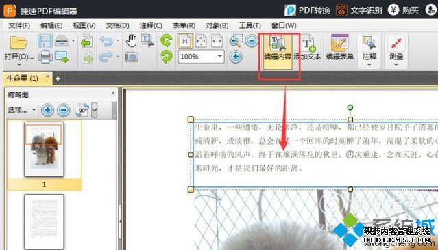 windowsxpϵͳPDFĵе
