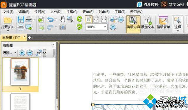 windowsxpϵͳPDFĵе