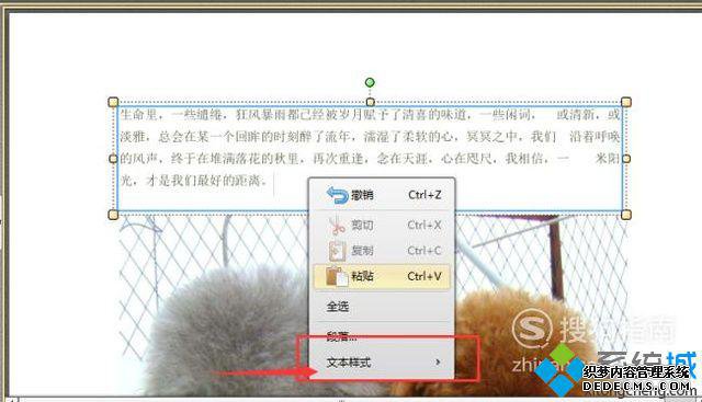 windowsxpϵͳPDFĵе
