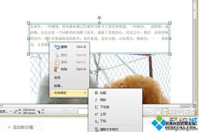 windowsxpϵͳPDFĵе
