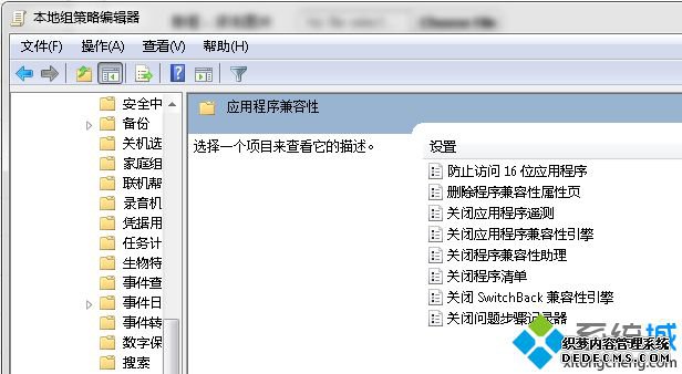“应用程序兼容性”