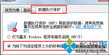 数据执行保护