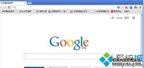 XP系统设置谷歌浏览器主页的步骤1