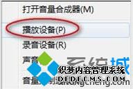 播放选项