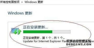 롰Windows ¡